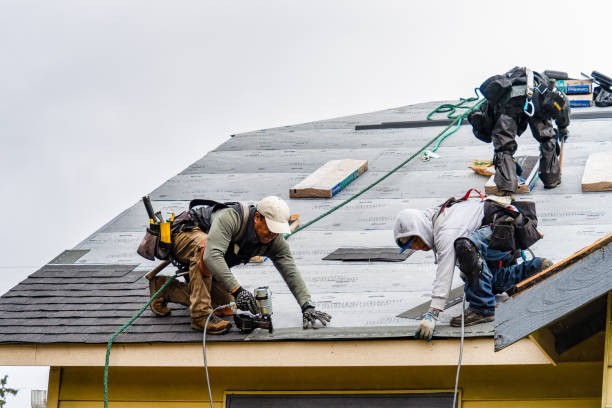 Professional Storm Damage Roof Repair technician working in Warren, NH